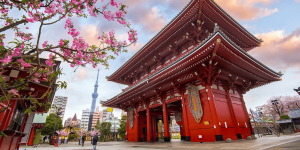 Cung Đường Vàng Tokyo – Kobe Chính Vụ Hoa Anh Đào 2025