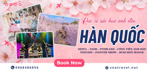 Tour Seoul – Nami Mùa Hoa Anh Đào Giá Rẻ 2025