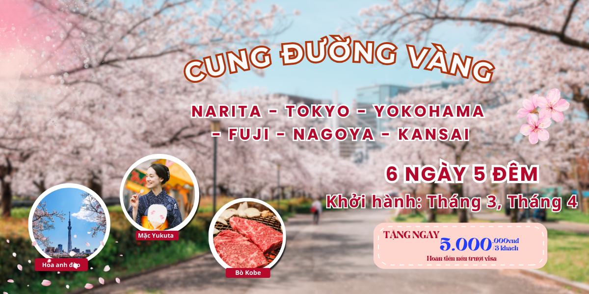 Tour Nhật Hoa Anh Đào Du Xuân Cung Đường Vàng 2025