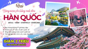 Tour Seoul – Nami Ngắm Hoa Anh Đào Hàn Quốc 2025