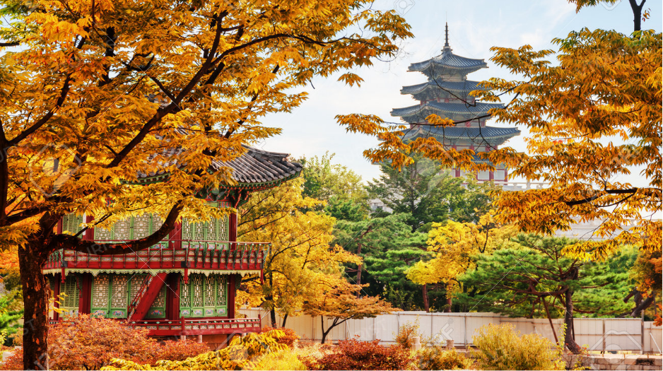 Tour Hàn Quốc Mùa Thu: Seoul – Nami – Morning Calm – Everland | 5N4Đ